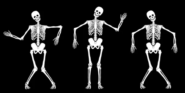 Dancing skeletons — Stock Vector