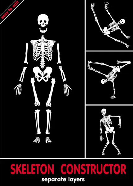 Конструктор скелетов — стоковый вектор