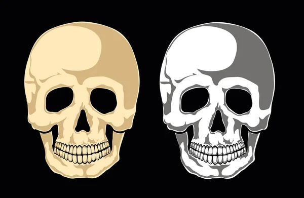 Людський череп на чорному — стоковий вектор