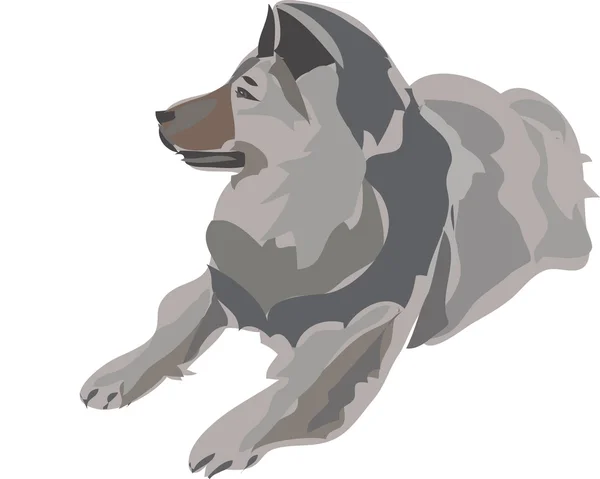 Pes vektorové ilustrace — Stockový vektor