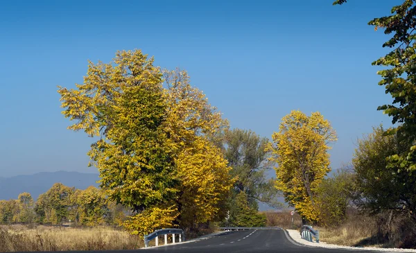 Stock image Road through colorful autumn trees in autumn time