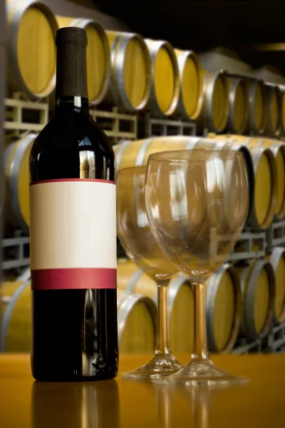 Винзавод вино дегустація — стокове фото