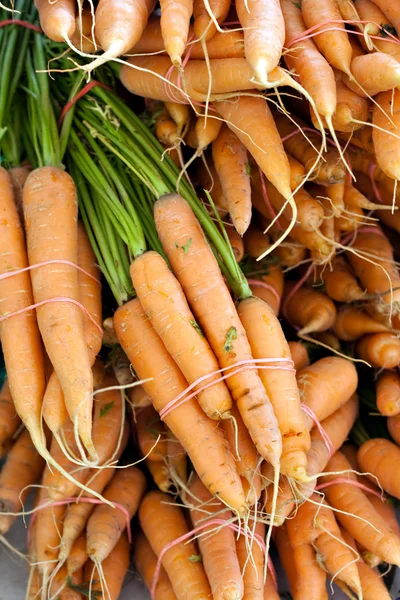 stock image Freshly Picked Bunches of Organic Carrots