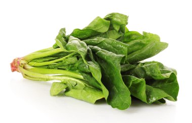 Bunch of spinach clipart