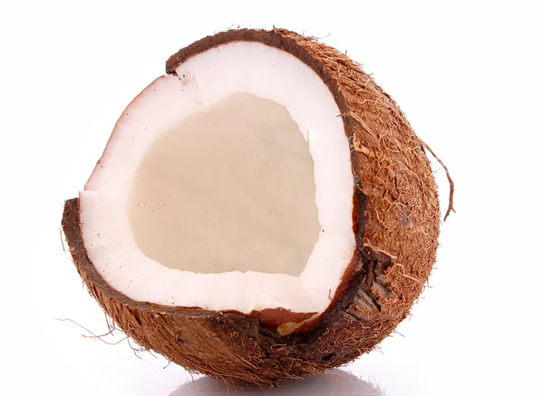 在白色上隔离的椰子 — 图库照片