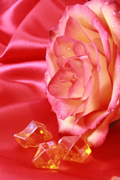 Rosa roja primer plano con gemas — Foto de Stock