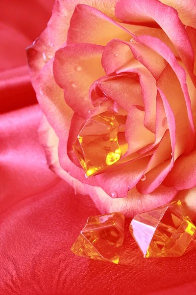 Rose och pärlor på röd bakgrund — Stockfoto