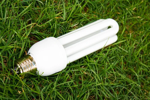 Lâmpada de poupança de energia na grama verde — Fotografia de Stock