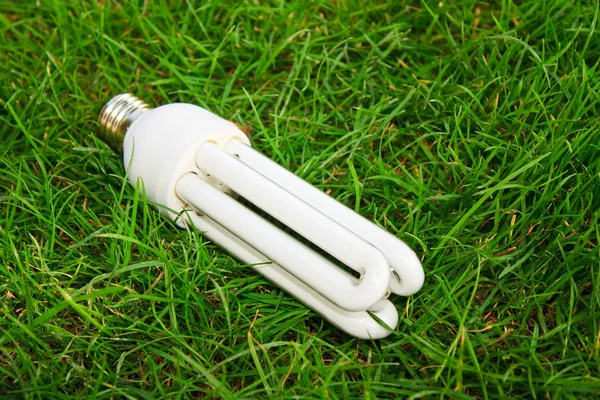 Úsporná žárovka v zelené trávě — Stock fotografie