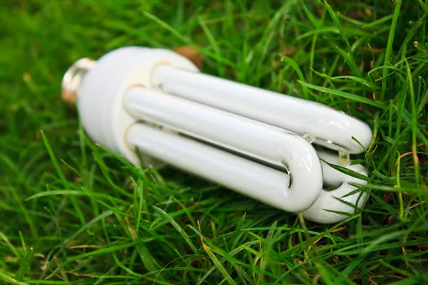 stock image Energy saving light bulb in green grass