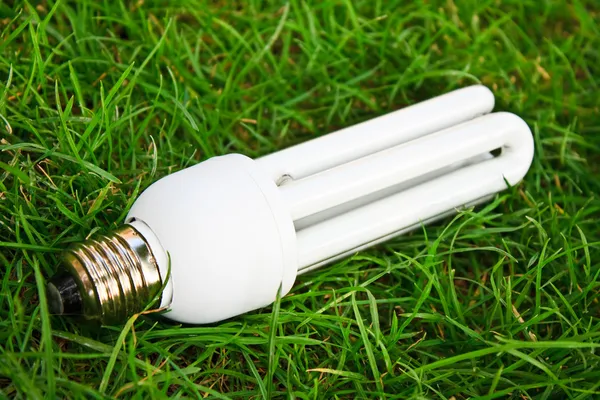Ampoule à économie d'énergie dans l'herbe verte — Photo