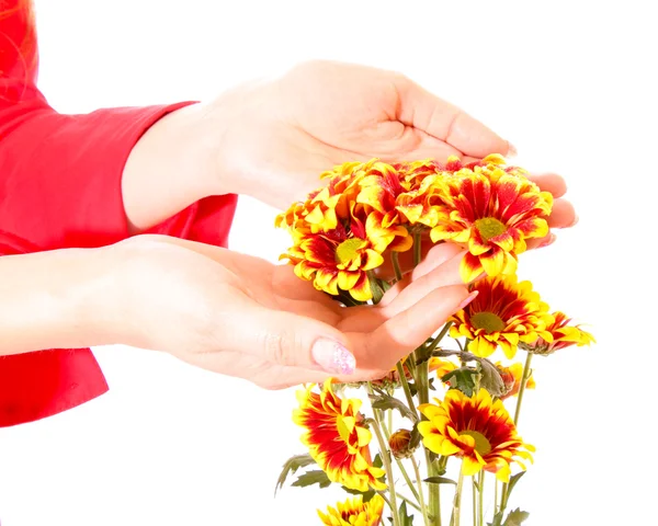 Mãos e flores isoladas em branco — Fotografia de Stock