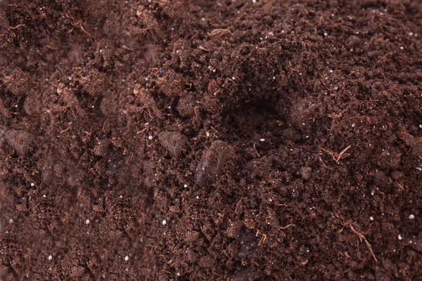 土壌の背景 — ストック写真