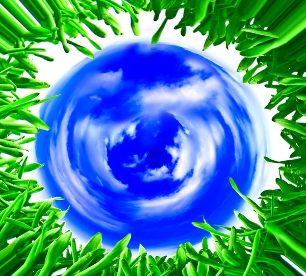 Mavi gök yeşil çim çerçevesinde — Stok fotoğraf