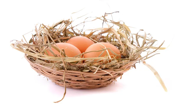 三个鸡蛋在巢上白色隔离 — 图库照片