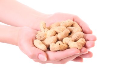 Peanuts in hand isolated on white