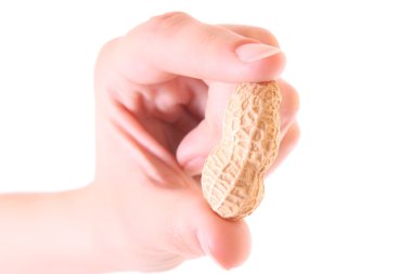 Peanut in hand isolated on white