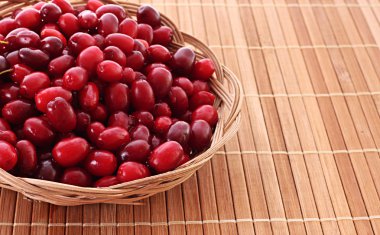 Cranberries plaka