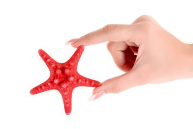 Seastar üzerinde beyaz izole el