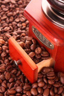 kahve öğütücü portre
