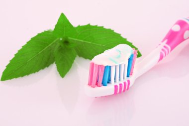 Tooth brush and mint leaves