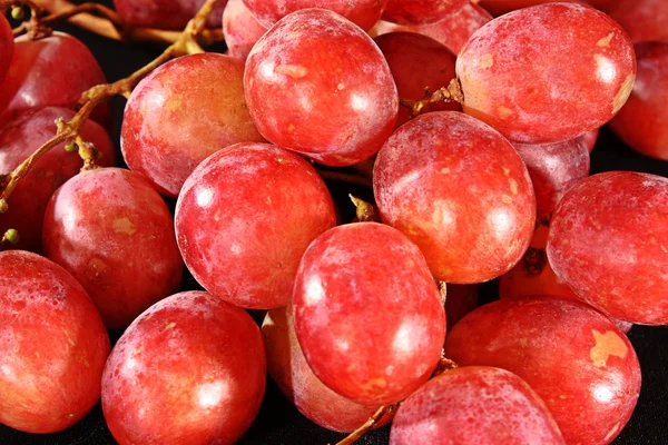 stock image Grapes