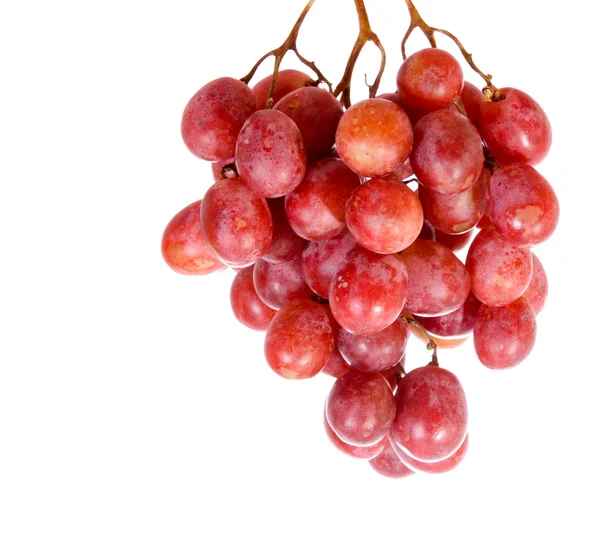 Druiven geïsoleerd op wit — Stockfoto