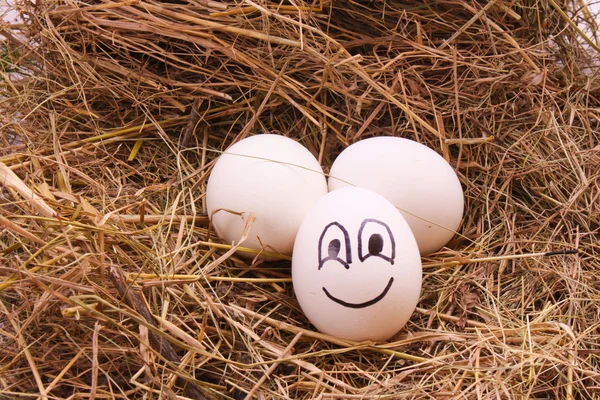 Três ovos em feno — Fotografia de Stock