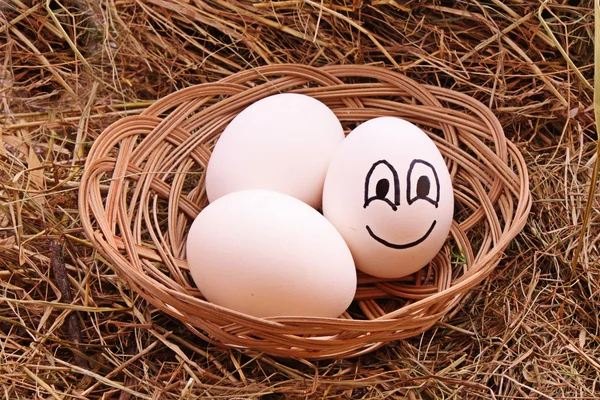 Eggs in hay — Stock Photo, Image