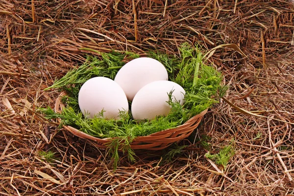 干草中的蛋 — 图库照片