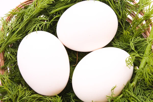 Αυγά σε φωλιά που απομονώνονται σε λευκό — Φωτογραφία Αρχείου