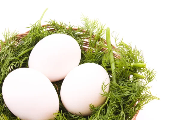 Beyaz izole yuvadaki yumurta — Stok fotoğraf