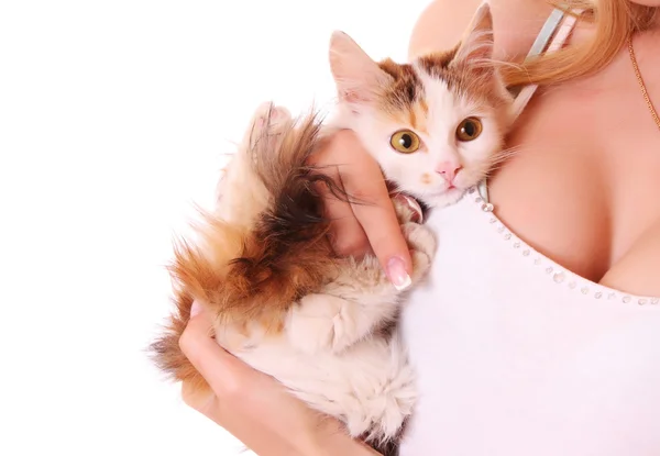 Kočka u prsu — Stock fotografie