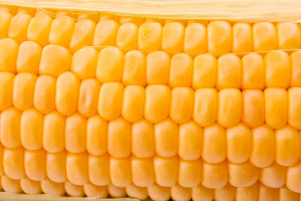 Corn background — Stock Photo, Image