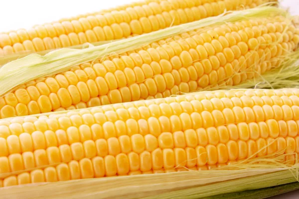 Corn isolated on white — Stock Photo, Image