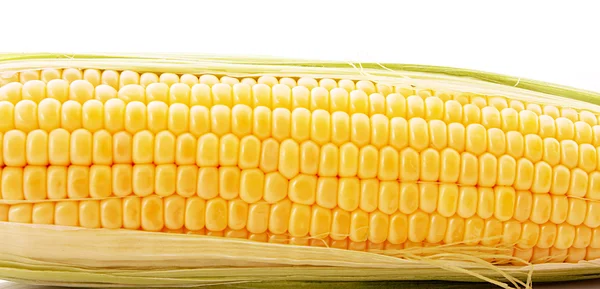 Mais isoliert auf weiß — Stockfoto