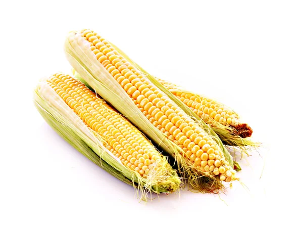 Three corns isolated on white — Stock Photo, Image
