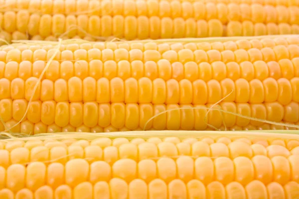 Three corns background — Stock Photo, Image