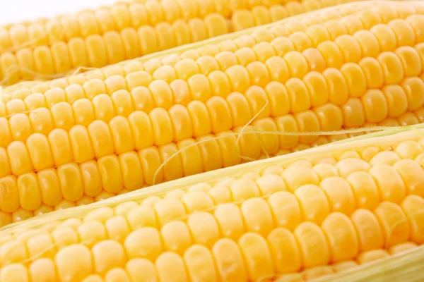 Кукурудза ізольована на білому — стокове фото
