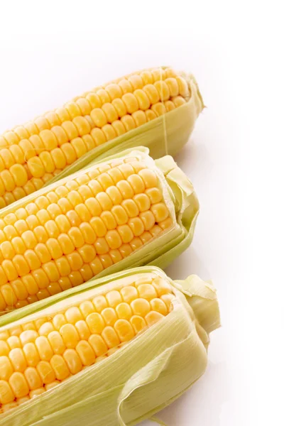 Kukurydziany na białym tle — Zdjęcie stockowe