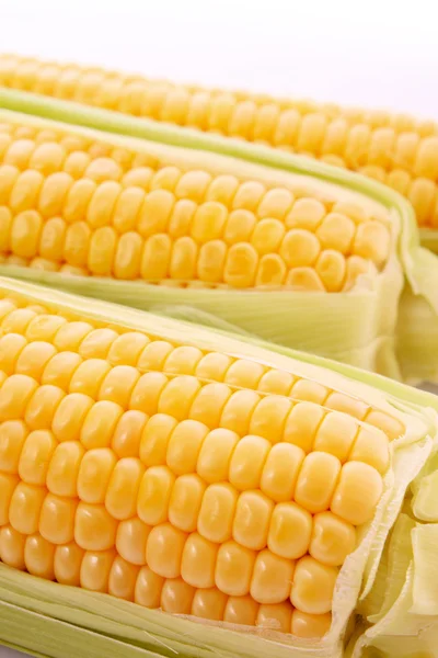 玉米上白色隔离 — 图库照片