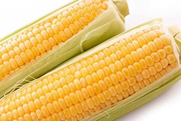 Corn isolated on white — Stock Photo, Image