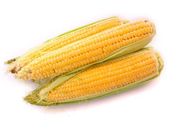 Paar maïs geïsoleerd op wit — Stockfoto