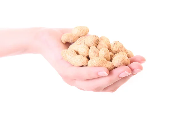Amendoim na mão isolado em branco — Fotografia de Stock