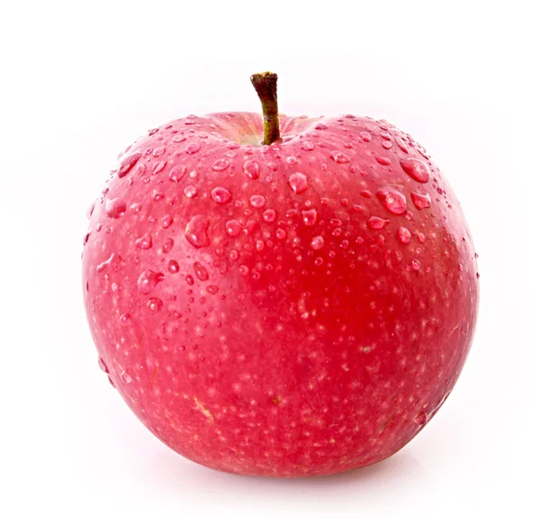 Красное яблоко выделено на белом — стоковое фото