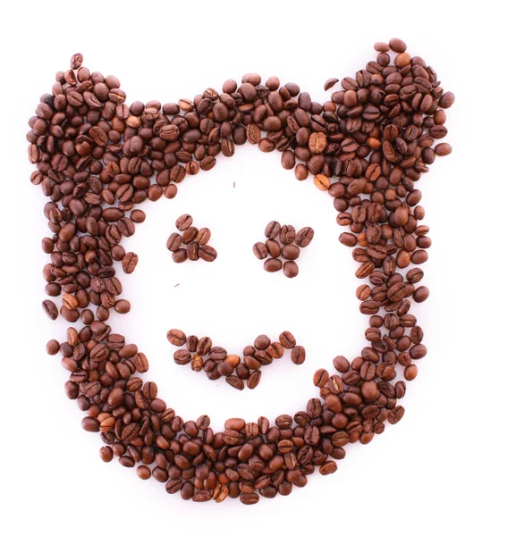 Kaffebönor i bear symbol isolerad på vit — Stockfoto