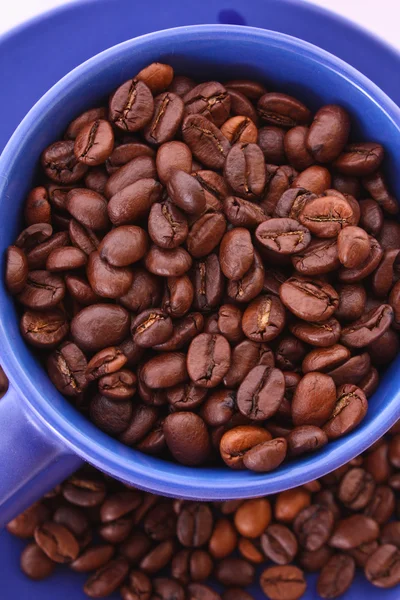 Koffie bonen in blauwe cup geïsoleerd op wit — Stockfoto
