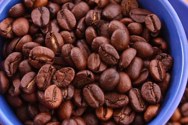 Kávová zrna v modré cup izolovaných na bílém — Stock fotografie