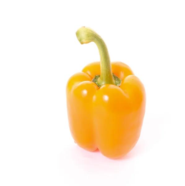 Orange peppar isolerad på vit — Stockfoto