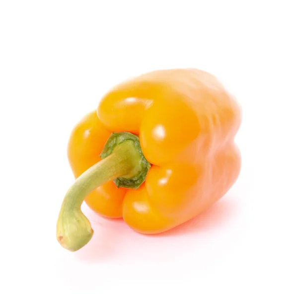 白で隔離されるオレンジ色の唐辛子 — ストック写真
